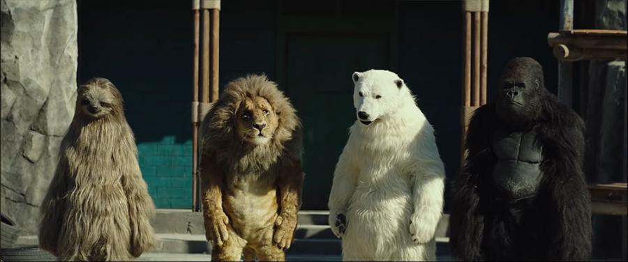 Un zoológico extraordinario